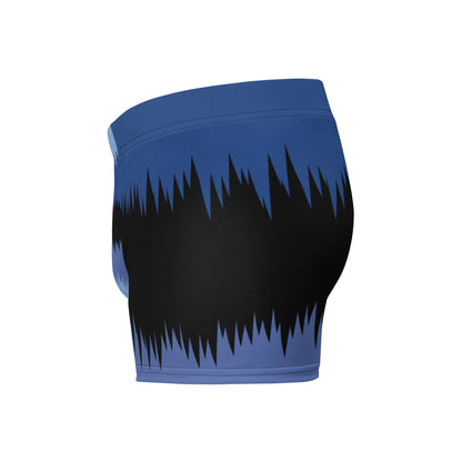 Small Circle Fan Boxer Briefs
