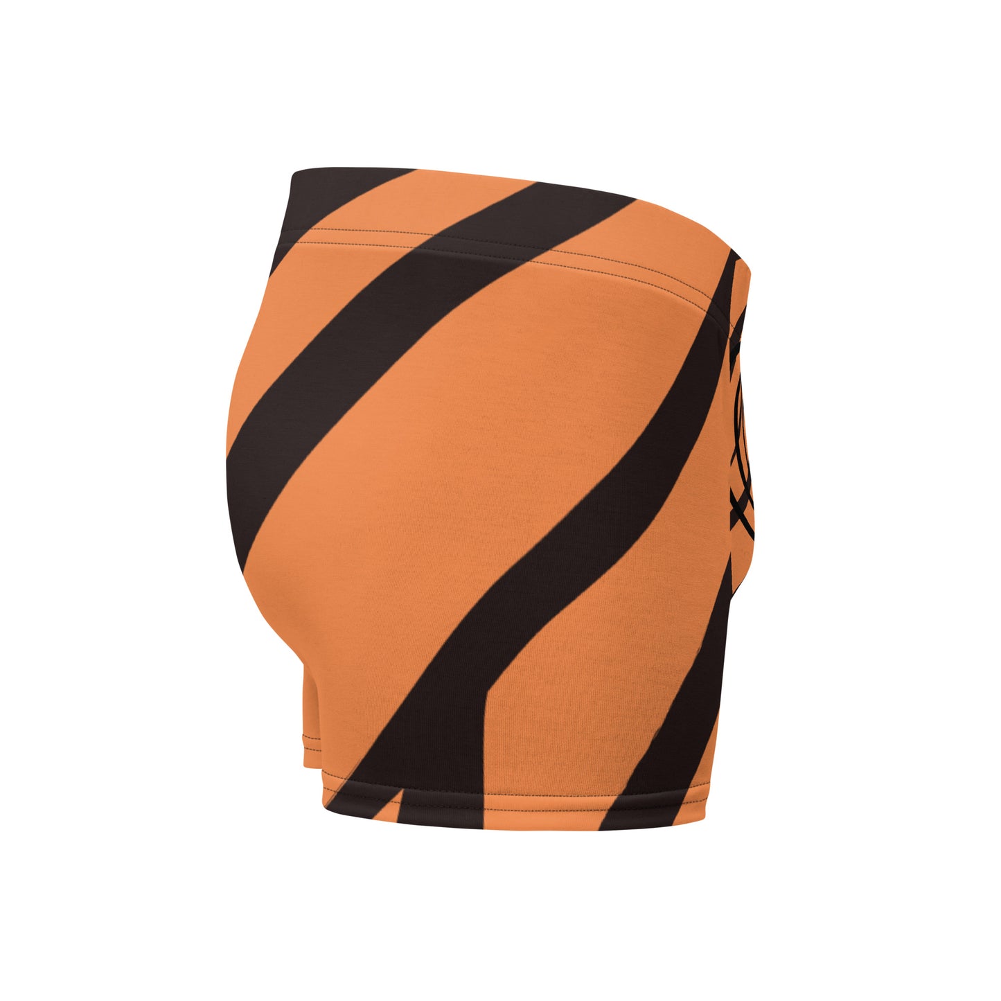 Small Circle Tiger Boxer Briefs